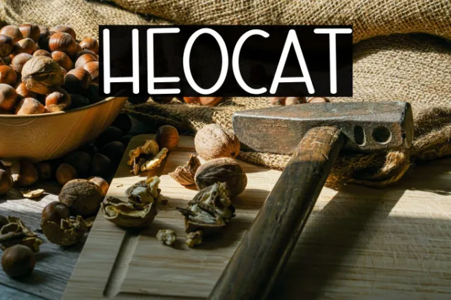 Hello Cat Example 1