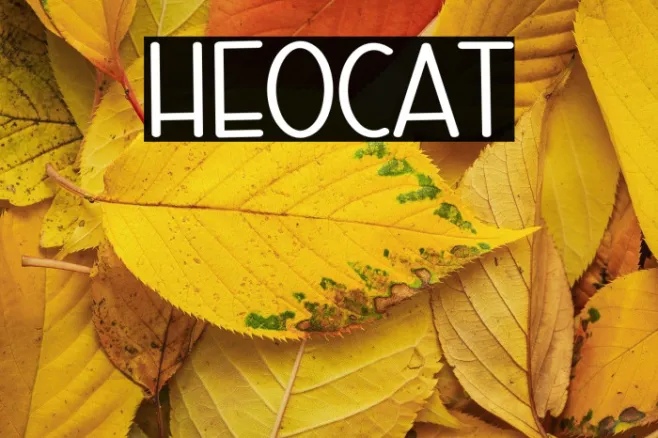 Hello Cat Example 2