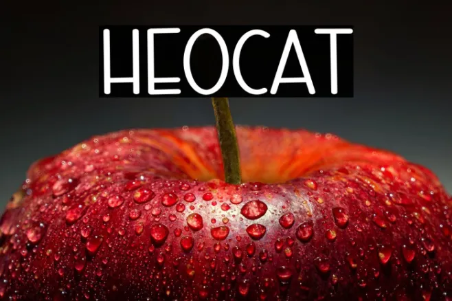 Hello Cat Example 3