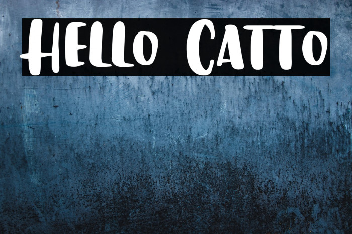 Hello Catto Example 1