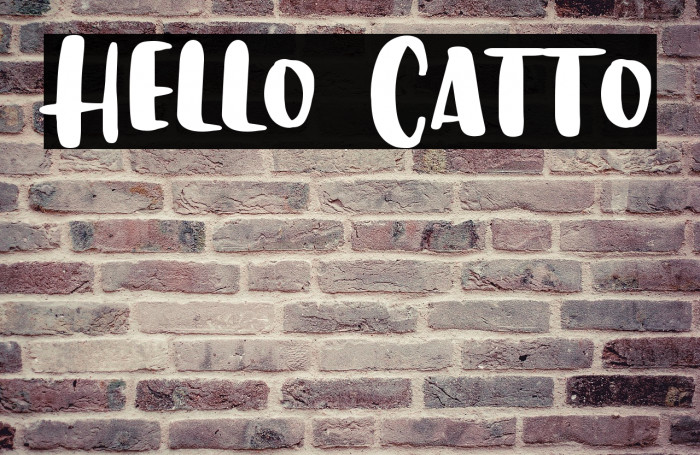 Hello Catto Example 2