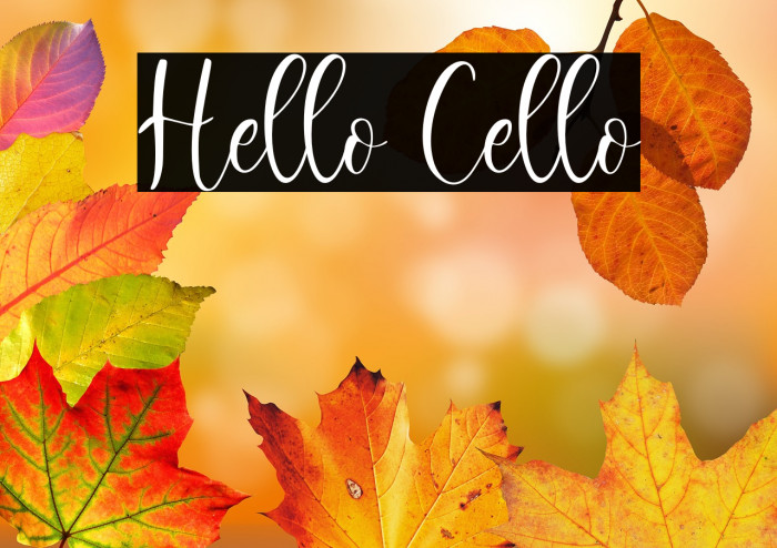 Hello Cello Example 2