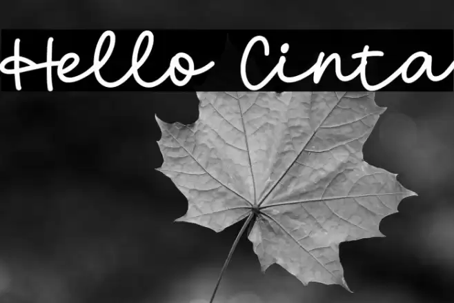 Hello Cinta Font examples