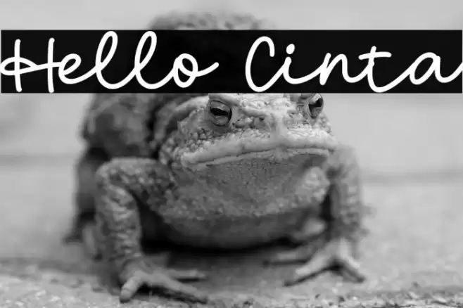 Hello Cinta Font examples
