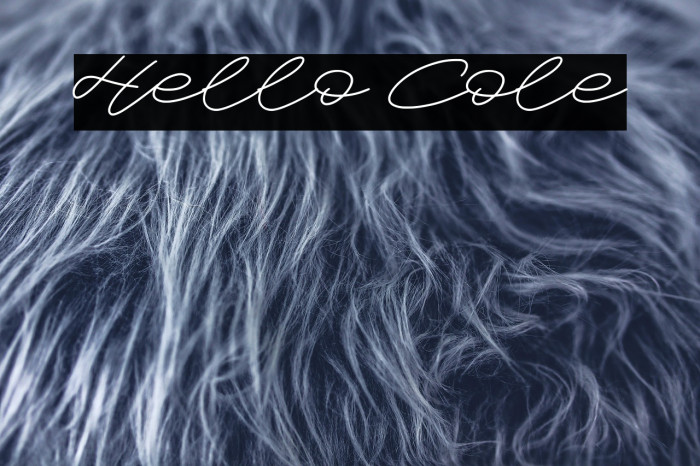 Hello Cole Example 1