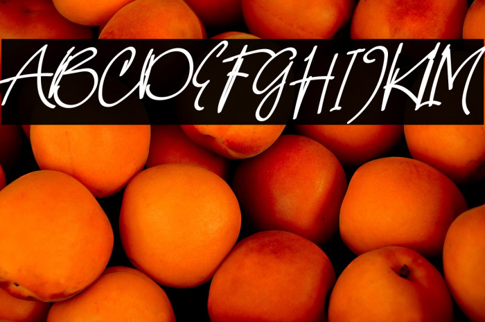 Hello Colly Example 1