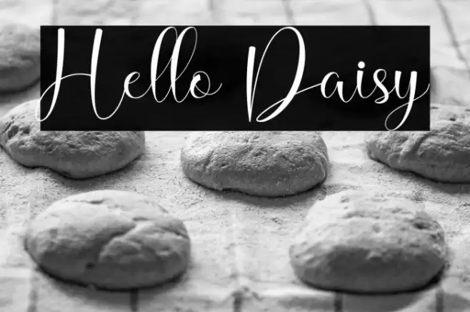 Hello Daisy Font examples