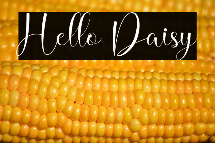 Hello Daisy Example 3