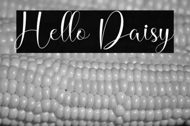Hello Daisy Font examples