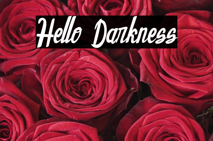 Hello Darkness Example 1