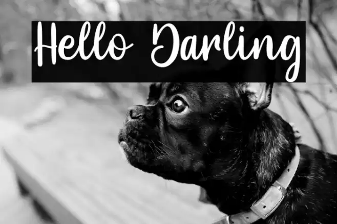 Hello Darling Font examples