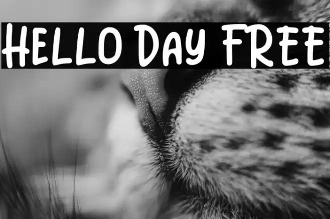 Hello Day FREE Font examples