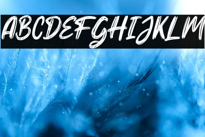 Hello Dear Demo Italic Example 1