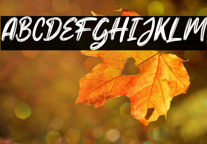 Hello Dear Demo Italic Example 1