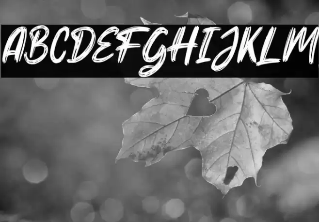 Hello Dear Demo Italic Font examples