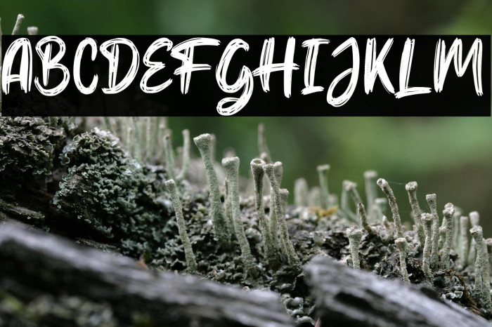 Hello Dear Demo Regular Example 1