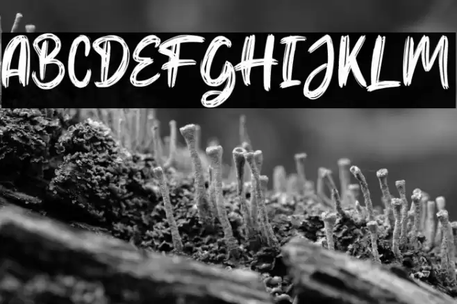 Hello Dear Demo Regular Font examples