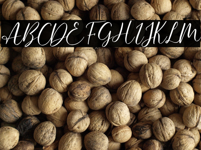 Hello December Italic Example 2