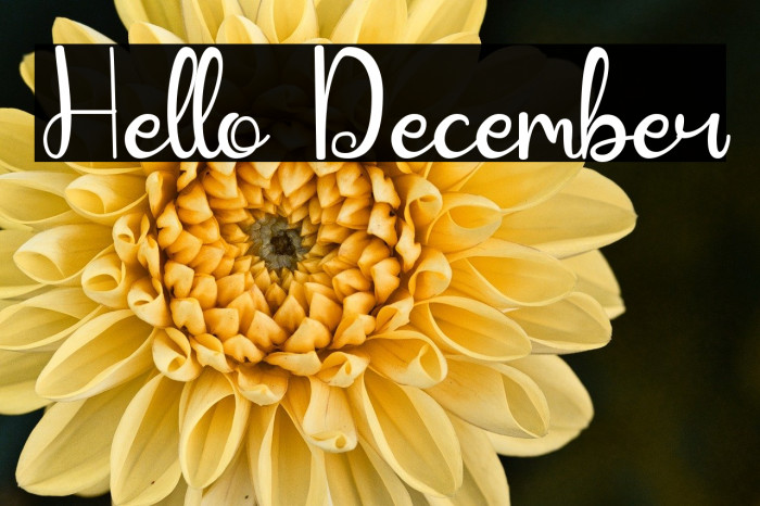 Hello December Example 1