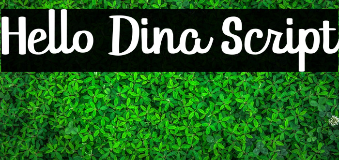 Hello Dina Script Example 1
