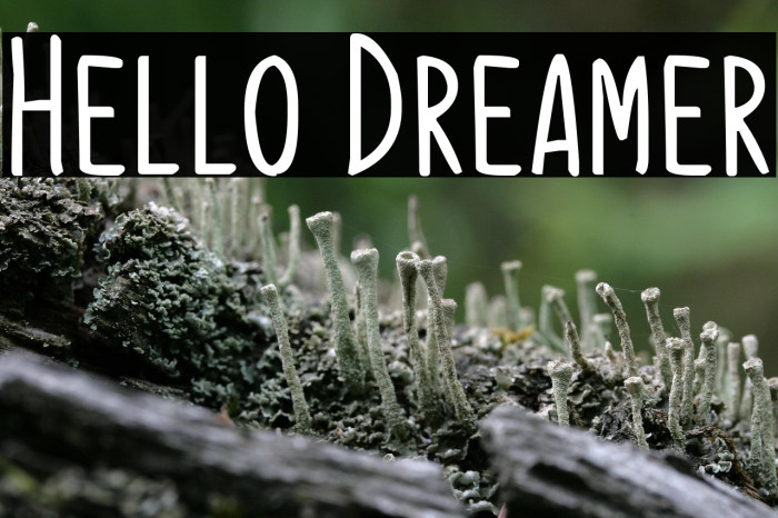 Hello Dreamer Example 3