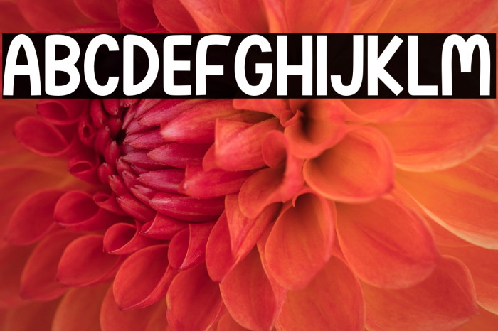 Hello Farmhouse Sans Example 3