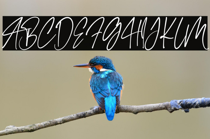 Hello France Example 2