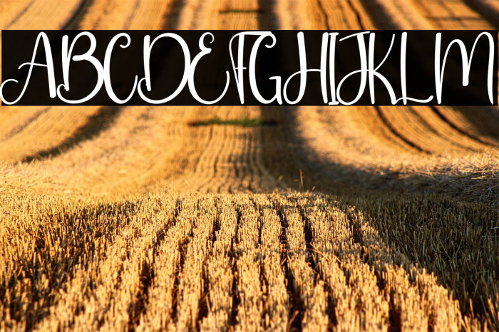 Hello Friday Example 2