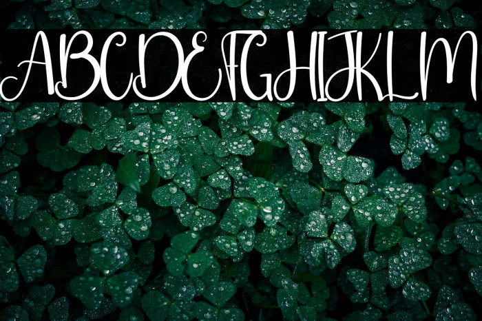 Hello Friday Example 3