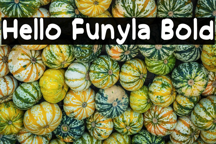 Hello Funyla Bold Example 1