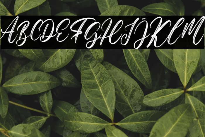 Hello Georgia Example 1