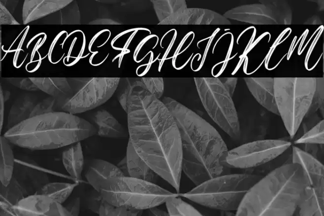 Hello Georgia Font examples