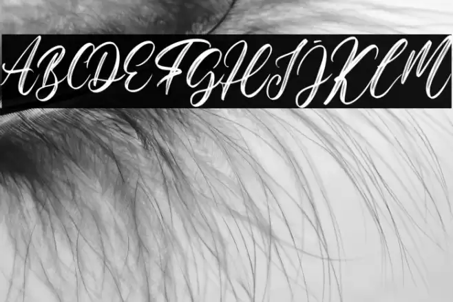 Hello Georgia Font examples