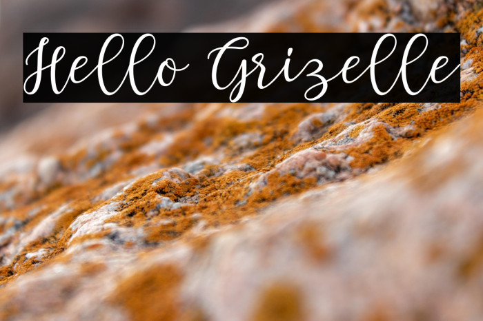 Hello Grizelle Example 2