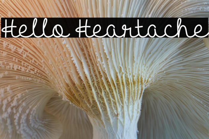 Hello Heartache Example 3