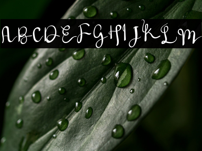 Hello Homework Example 3