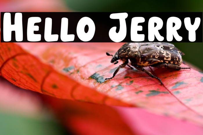 Hello Jerry Example 2