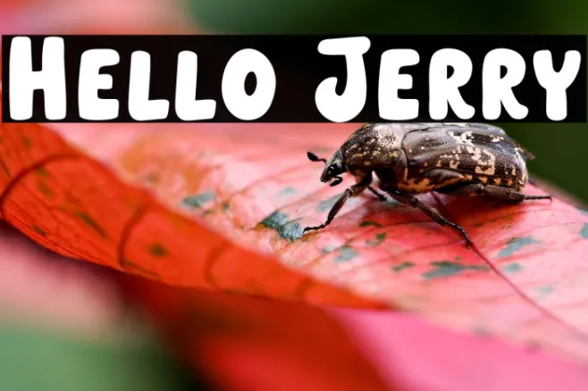 Hello Jerry Example 2