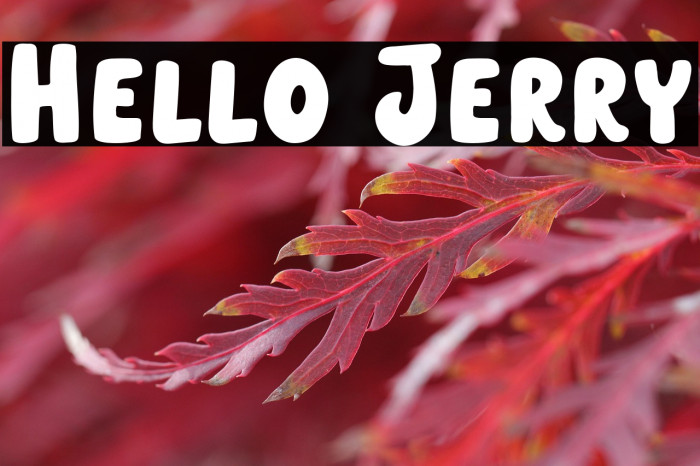 Hello Jerry Example 3