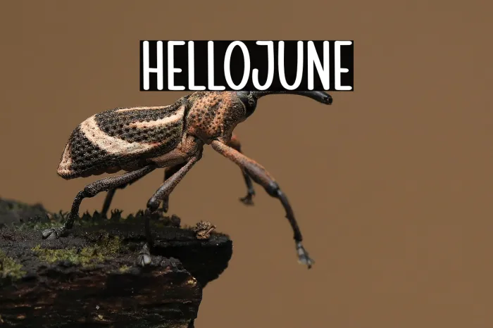 Hello June Example 1