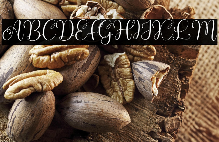 Hello Kamilla Example 3