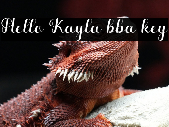 Hello Kayla bba key Example 1