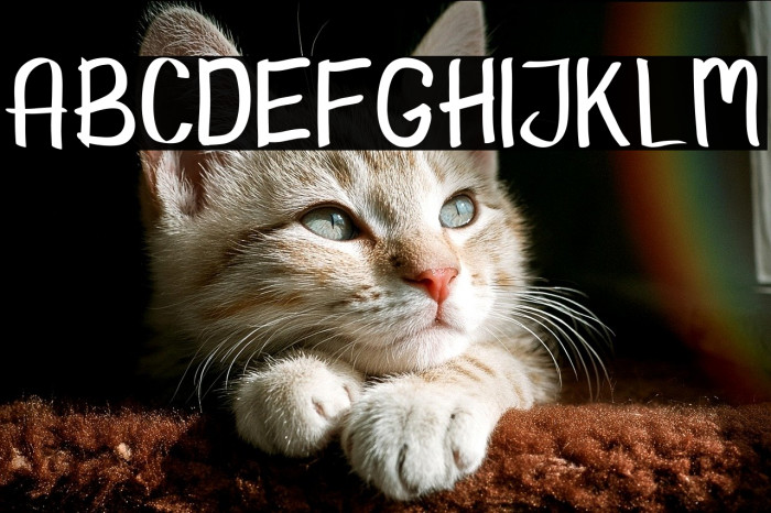 Hello Kids Example 2