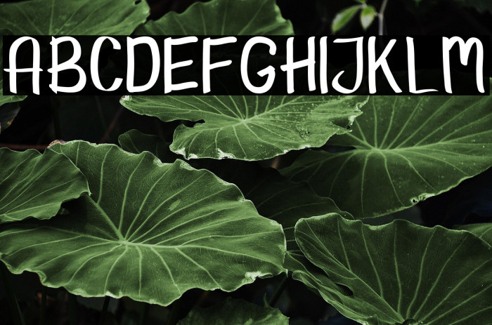 Hello Kids Example 3