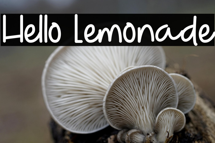 Hello Lemonade Example 3