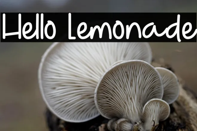 Hello Lemonade Example 3