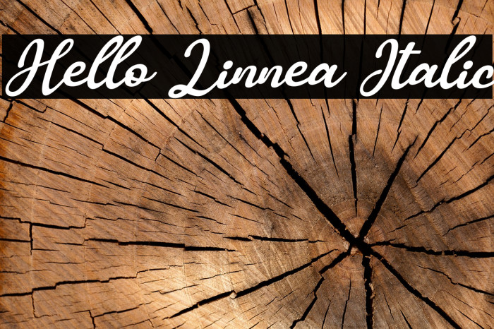 Hello Linnea Italic Font examples