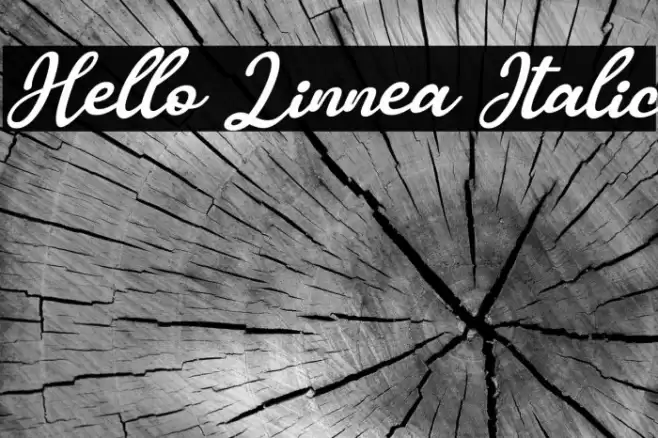 Hello Linnea Italic Font examples