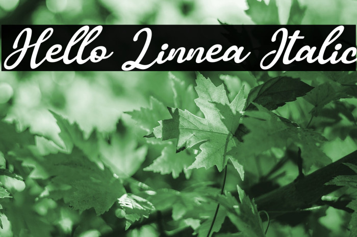 Hello Linnea Italic Font examples
