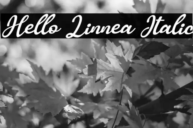Hello Linnea Italic Font examples